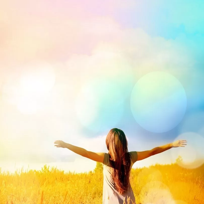 Curso de Bandagem Curitiba jpg